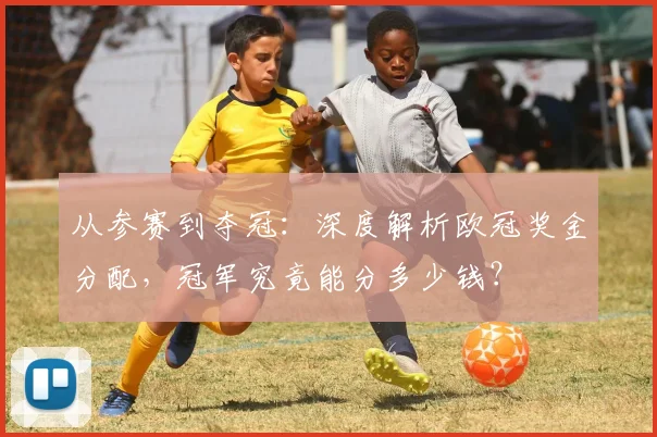从参赛到夺冠：深度解析欧冠奖金分配，冠军究竟能分多少钱？