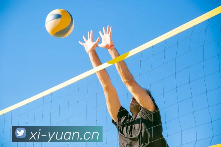 从比分到统计：球探直播提供全方位的足球赛事服务